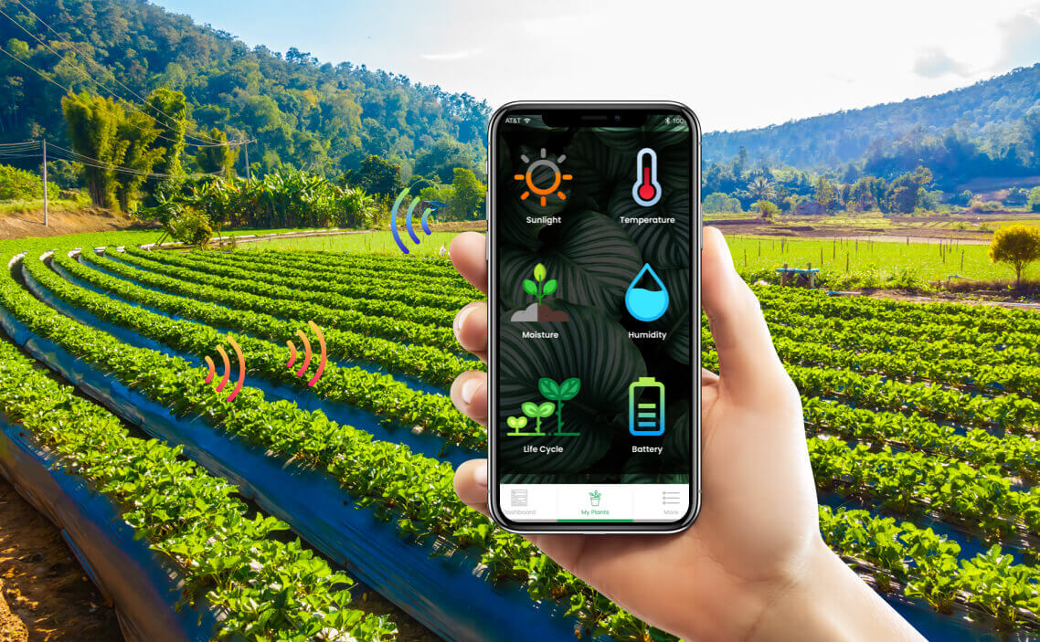 Hands holding a tablet showing smart farming data in a crop field