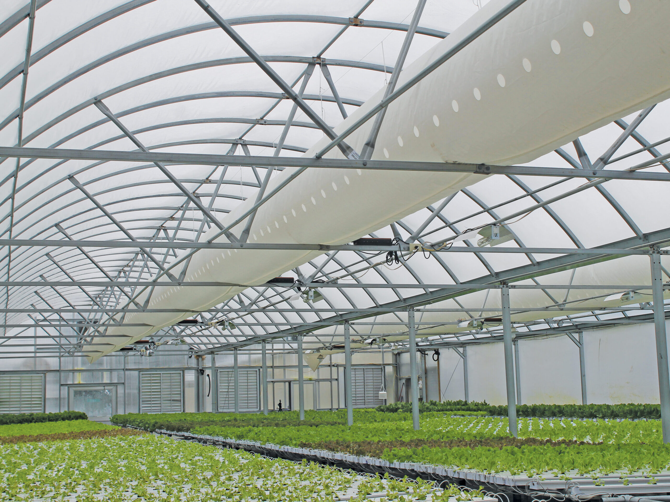Poultry houses, field work, flowers, grain trade and greenhouses